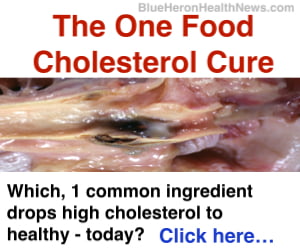 High cholestrol